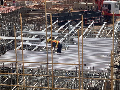 新技術驅動下的木質建筑廢棄物重生 從廢棄到建設新篇章