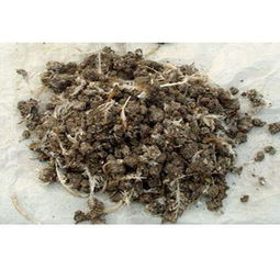 石家莊強(qiáng)農(nóng)天然雞糞生物有機(jī)肥 打造優(yōu)質(zhì)農(nóng)作物新標(biāo)桿